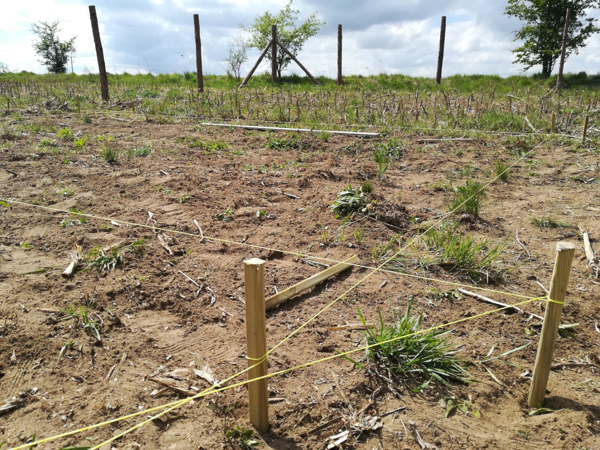 obrys garażu przy pomocy sznurka murarskiego