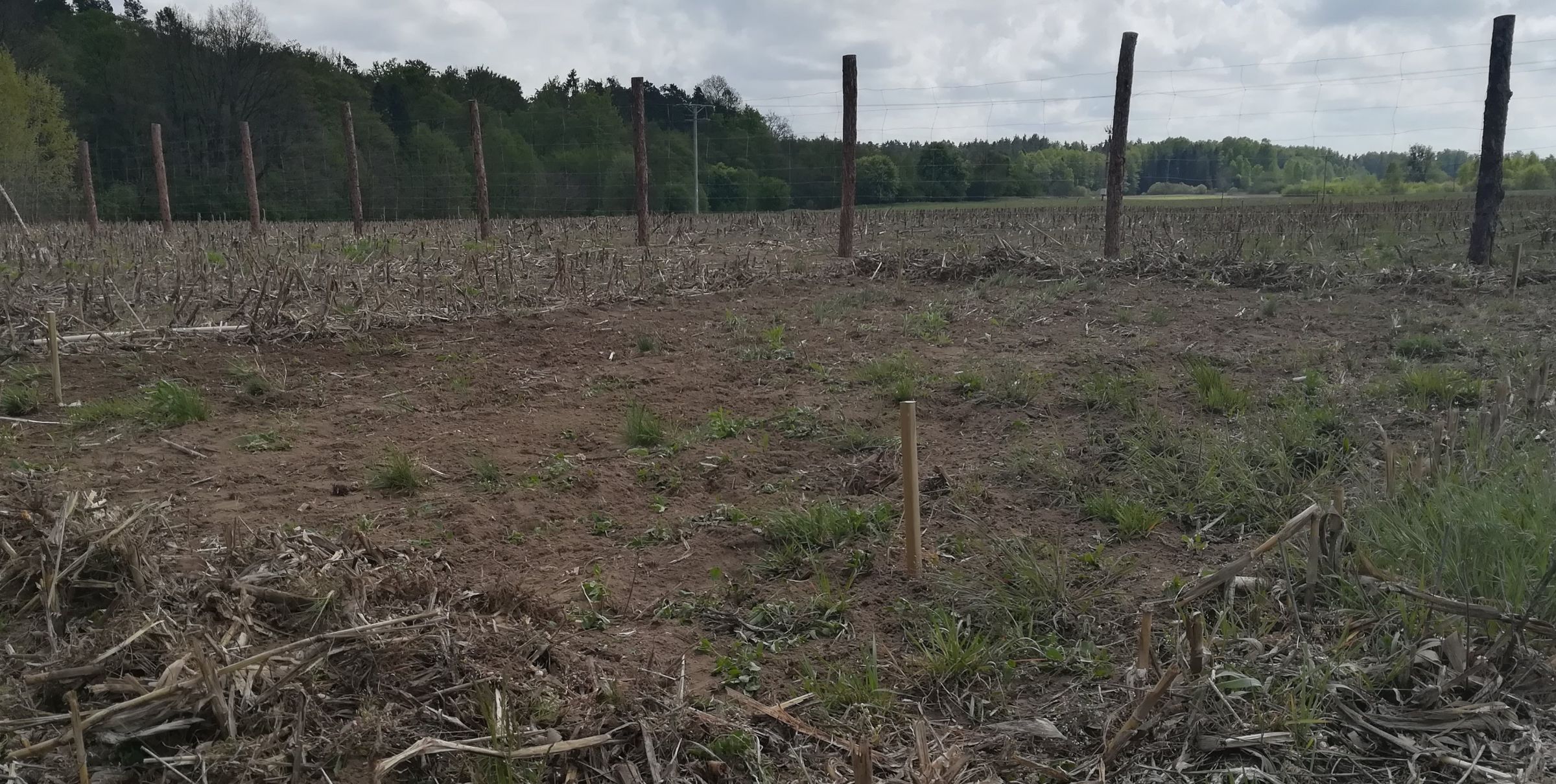 Wstępne wytyczenie blaszaka